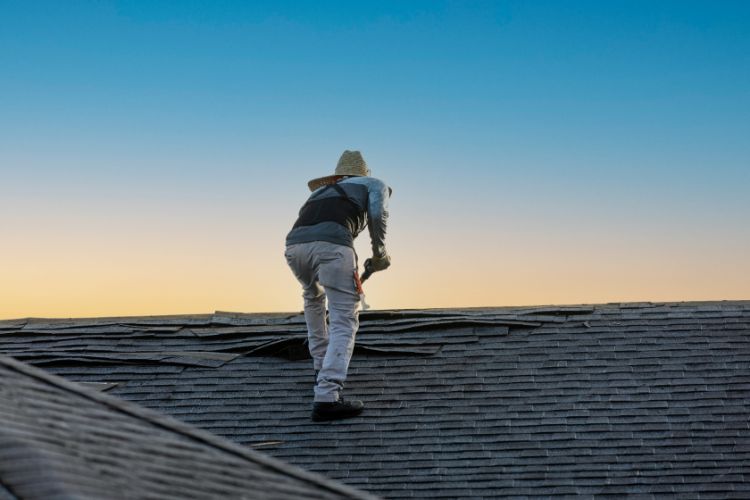 roof shingle maintenance