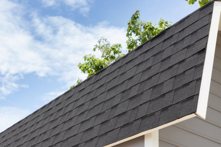 roof shingles of the house